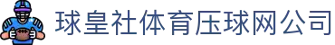 买球网足球比分网|世界杯比分实时查询与五大联赛即时比分